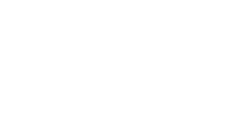Brownies&downieS